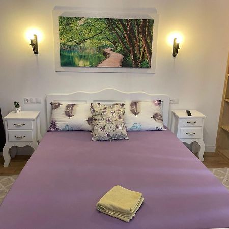 Apartament Gabriela 39 巴亚马雷 外观 照片